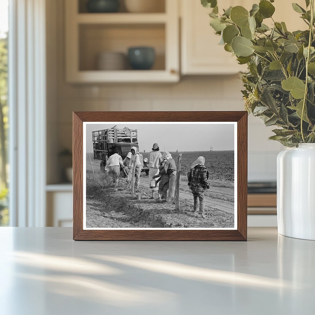 Mexican Women Unloading Truck in Texas Spinach Field 1939 - Available at KNOWOL