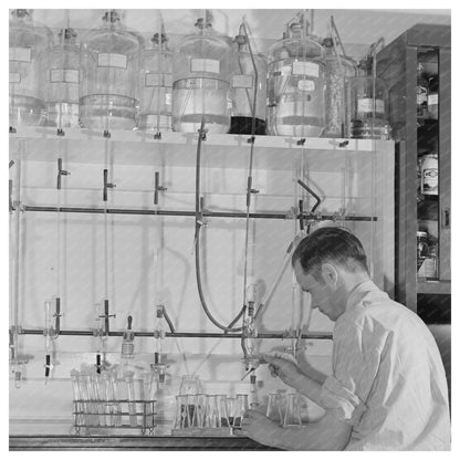 Microbiological Titration of Vitamins in 1942 Dehydrated Vegetables - Available at KNOWOL