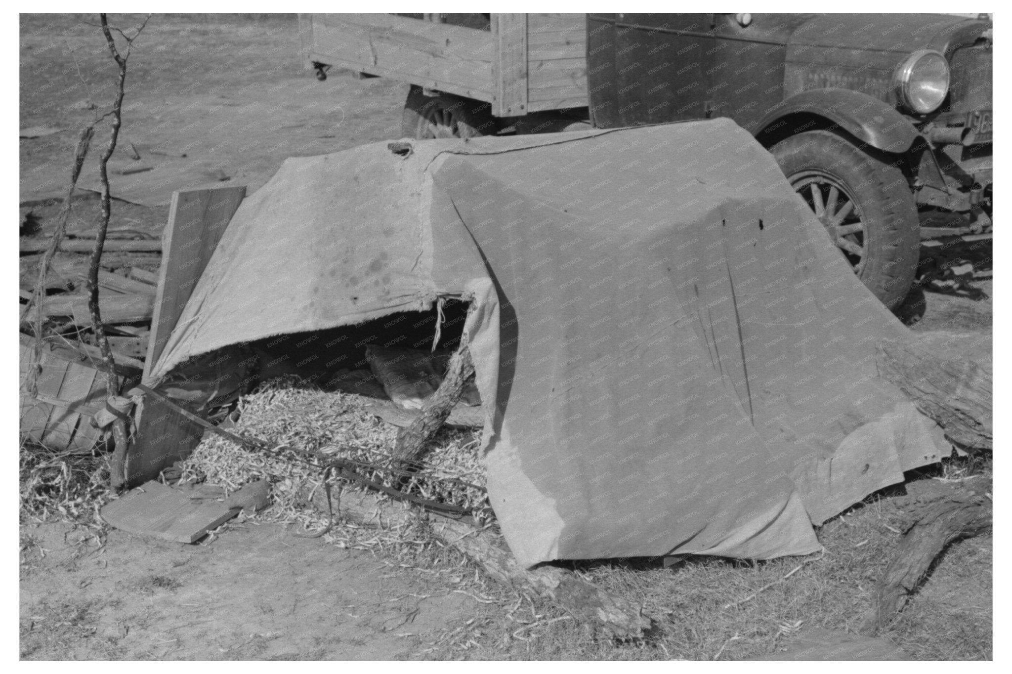 Migrant Boys Tent in Sebastin Texas February 1939 - Available at KNOWOL