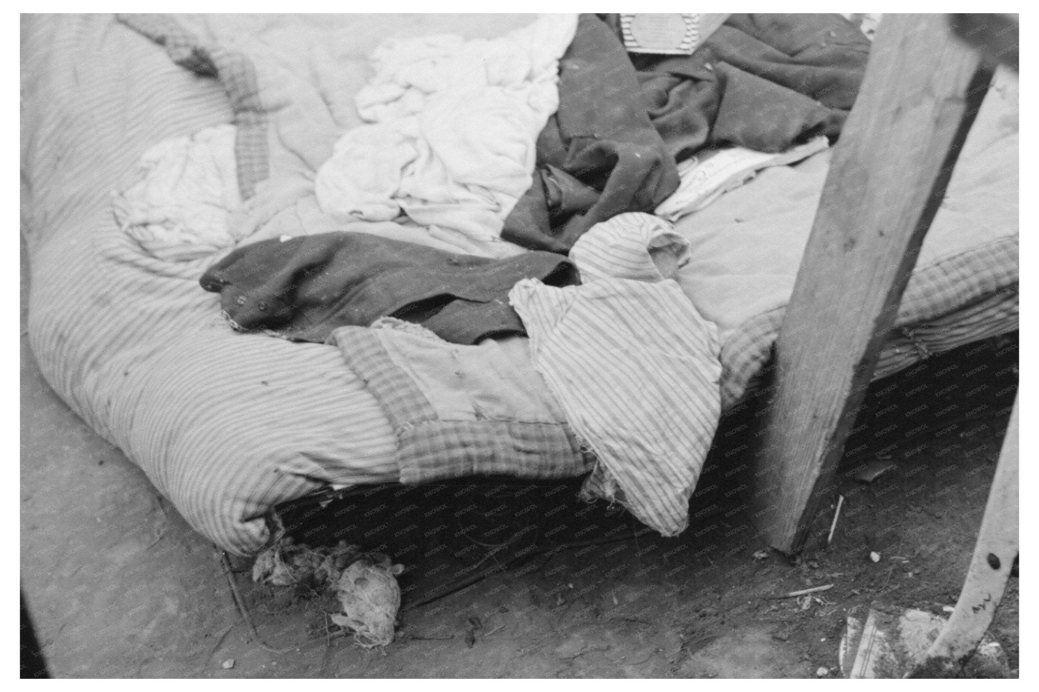 Migrant Camp Bed in Harlingen Texas February 1939 - Available at KNOWOL