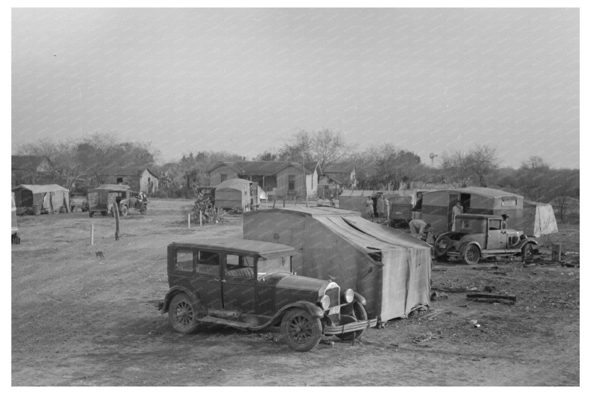 Migrant Camp in Edinburg Texas February 1939 - Available at KNOWOL