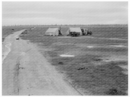 Migrant Camp in Kern County California February 1939 - Available at KNOWOL