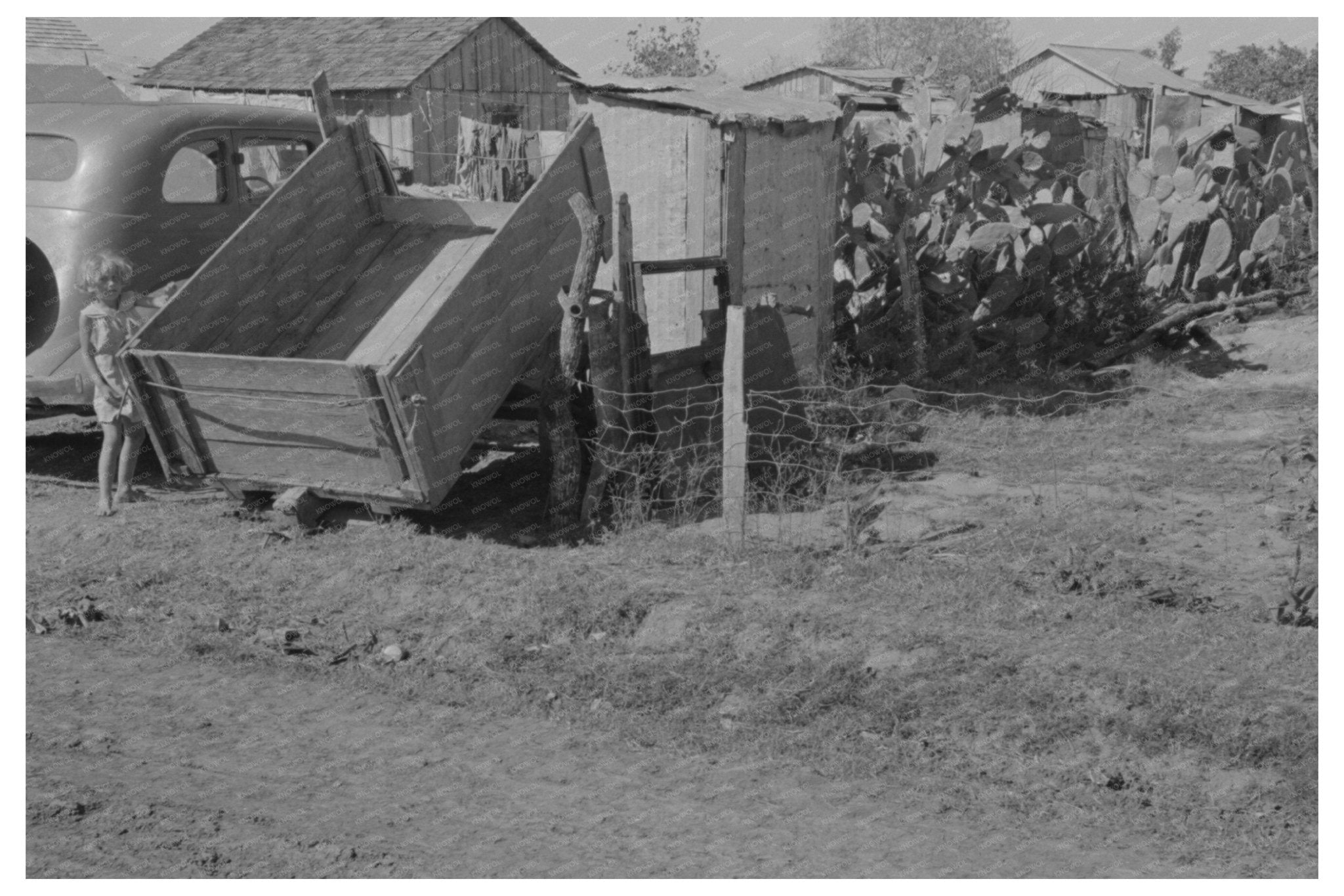 Migrant Camp in Weslaco Texas February 1939 Photo - Available at KNOWOL