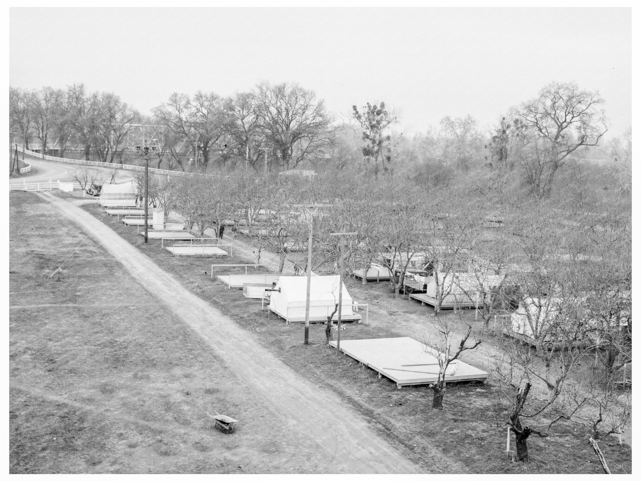 Migrant Camp Living Conditions Gridley California 1939 - Available at KNOWOL