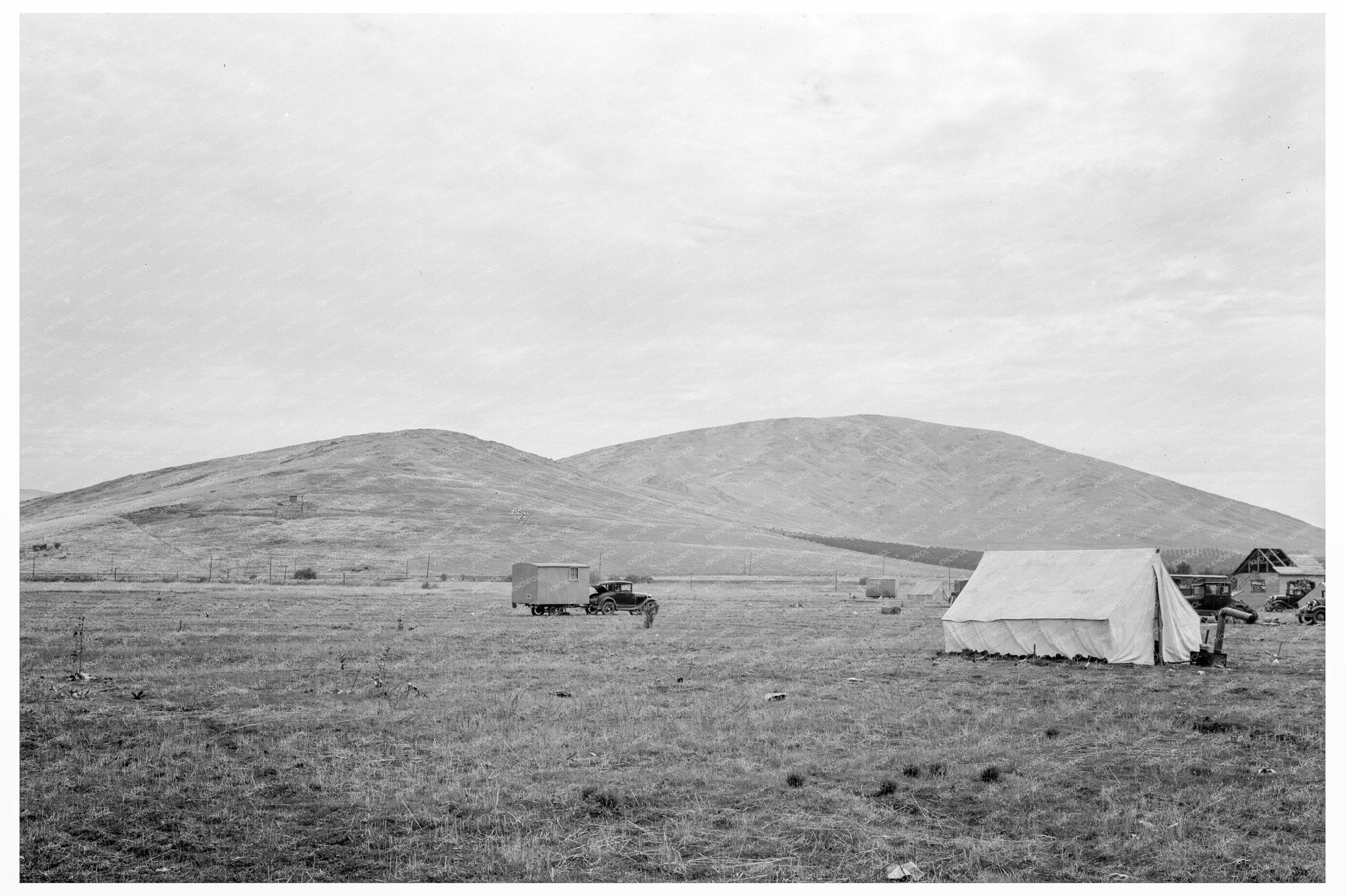 Migrant Camp Preparation for Orange Picking California 1936 - Available at KNOWOL