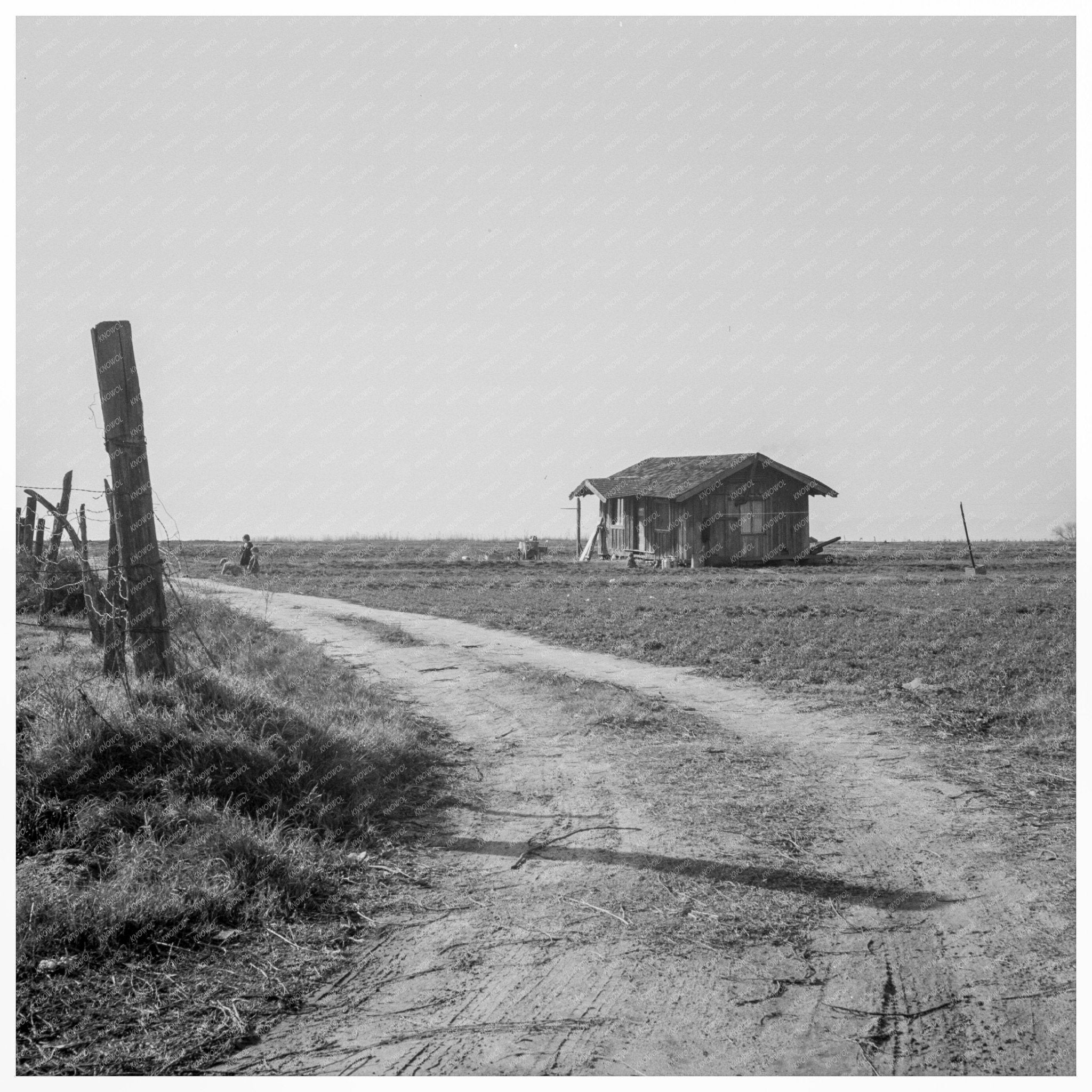 Migrant Camps in California February 1939 - Available at KNOWOL