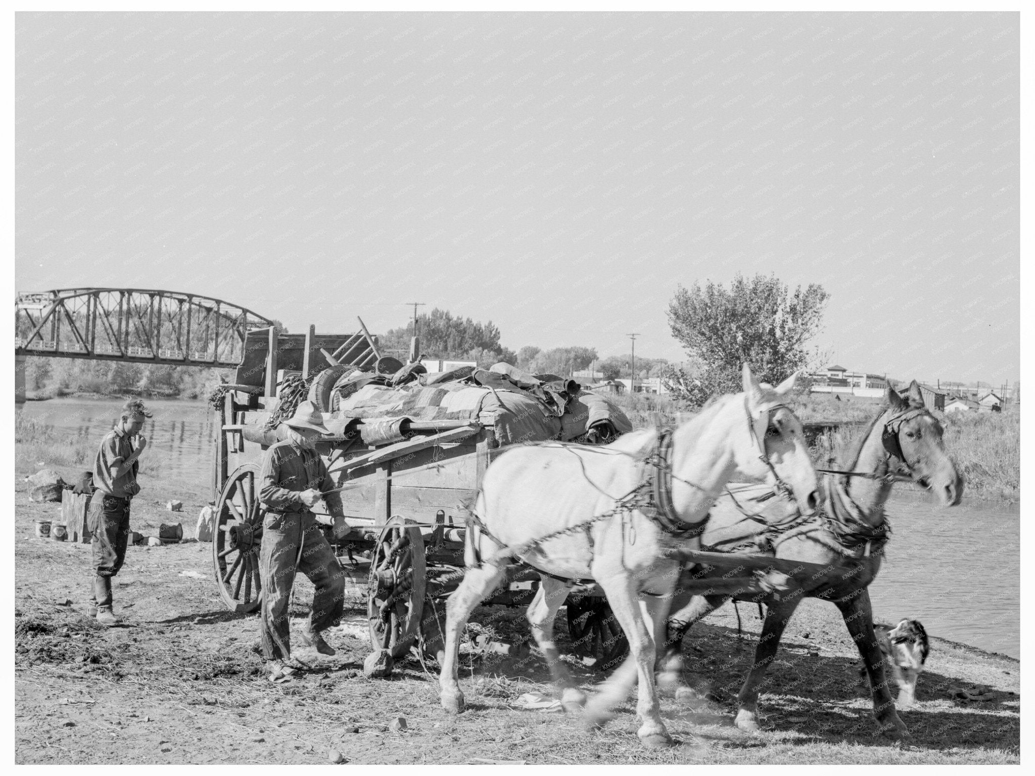 Migrant Family Clean - Up Activities Vale Oregon October 1939 - Available at KNOWOL