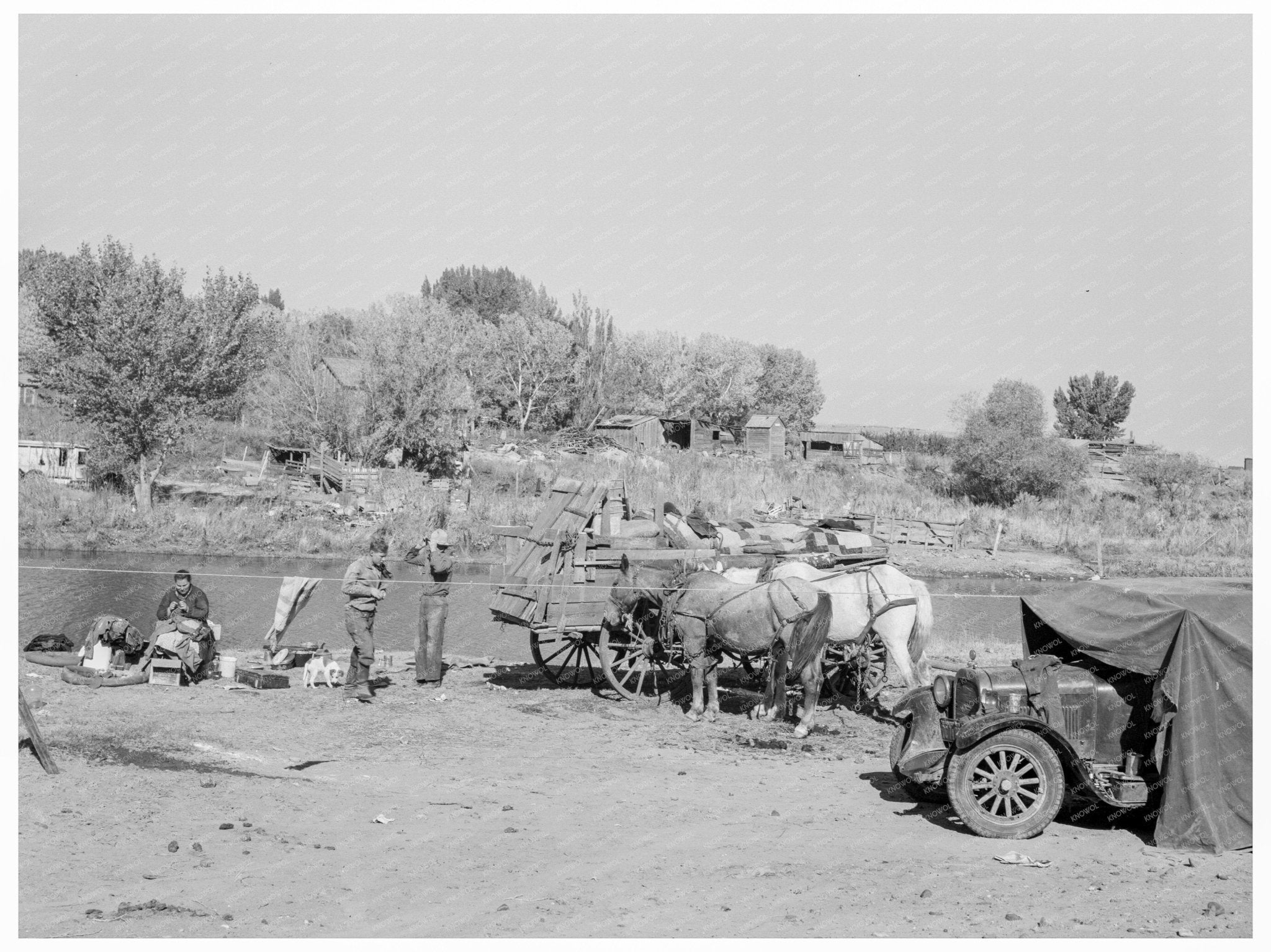 Migrant Family Cleaning Near Vale Oregon October 1939 - Available at KNOWOL