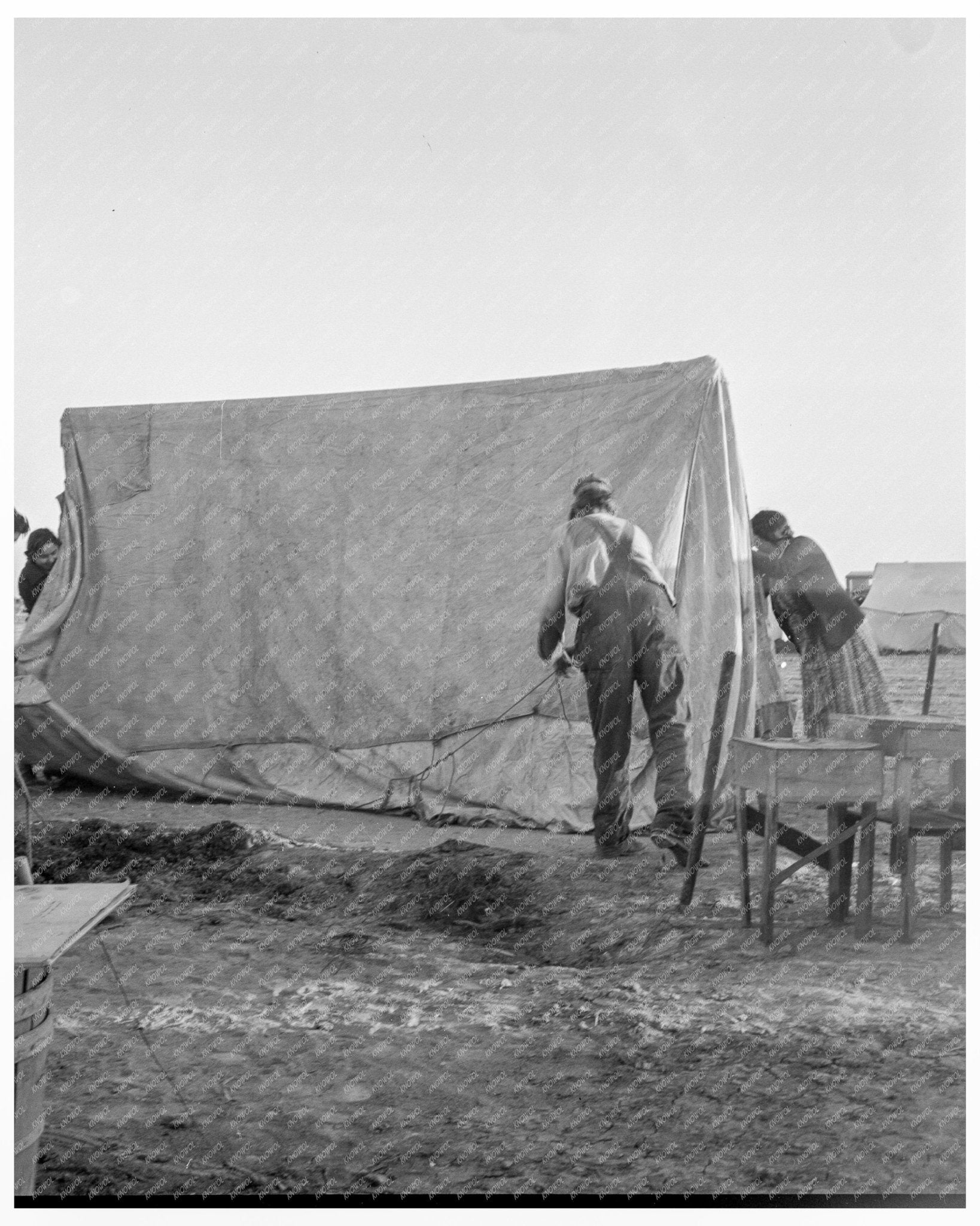 Migrant Family Erecting Tent at Labor Camp in Calipatria California February 1939 - Available at KNOWOL