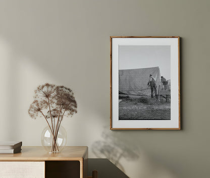 Migrant Family Erecting Tent at Labor Camp in Calipatria California February 1939 - Available at KNOWOL