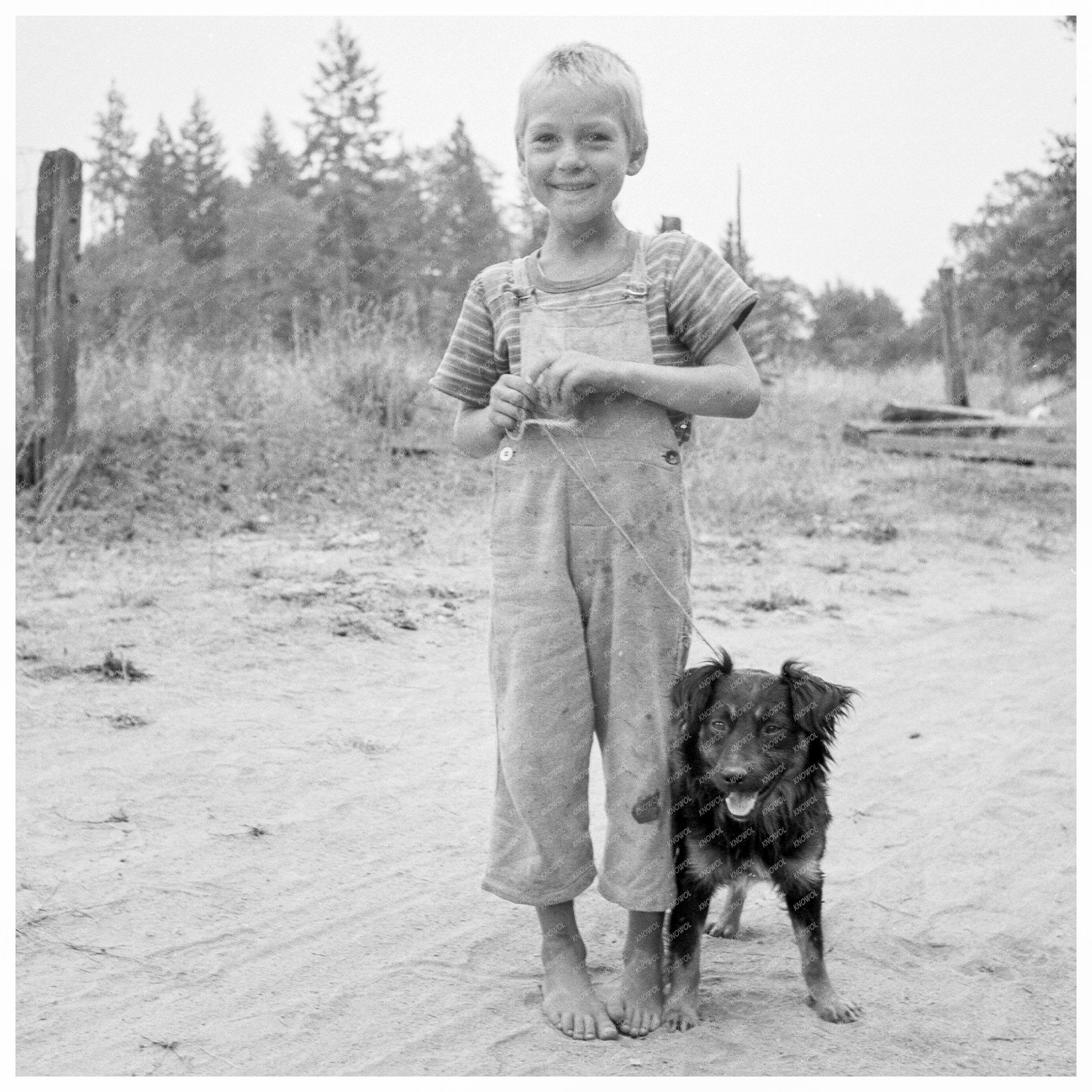 Migrant Family in Growers Camp Oregon August 1939 - Available at KNOWOL