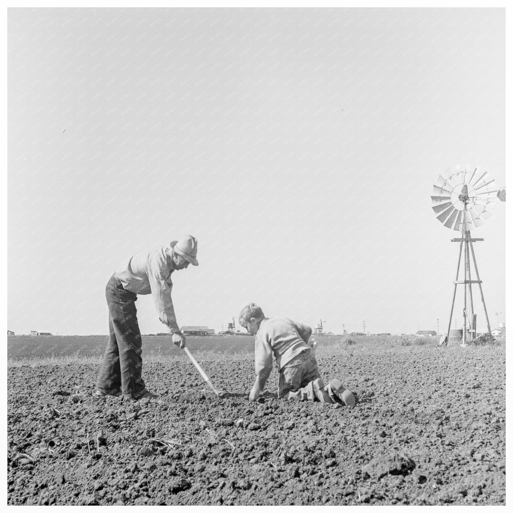 Migrant Father and Son Building Home Salinas 1939 - Available at KNOWOL