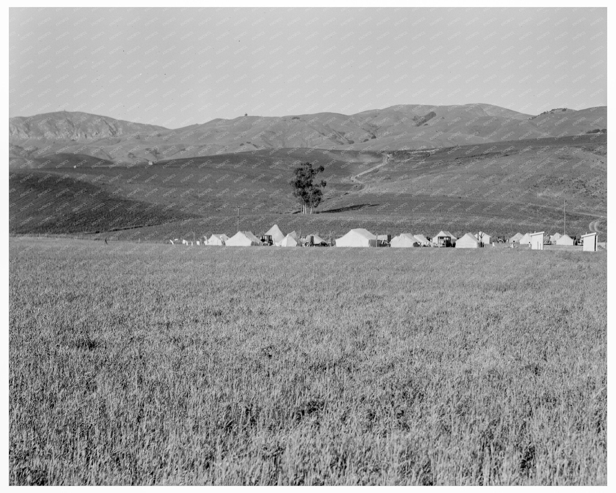 Migrant Labor Camp Santa Clara Valley Spring 1937 - Available at KNOWOL