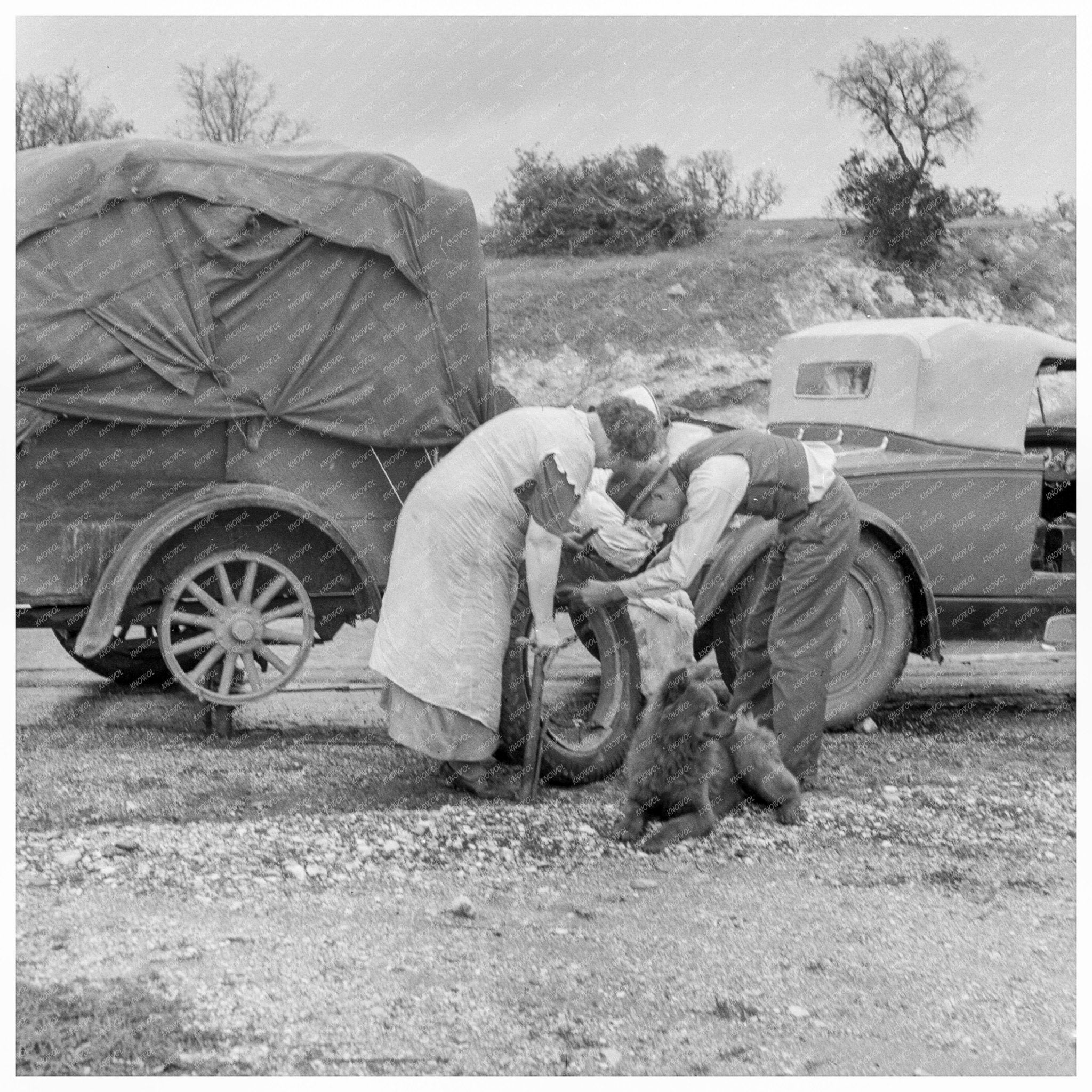 Migrant Pea Pickers on the Road California February 1936 Historical Photograph - Available at KNOWOL