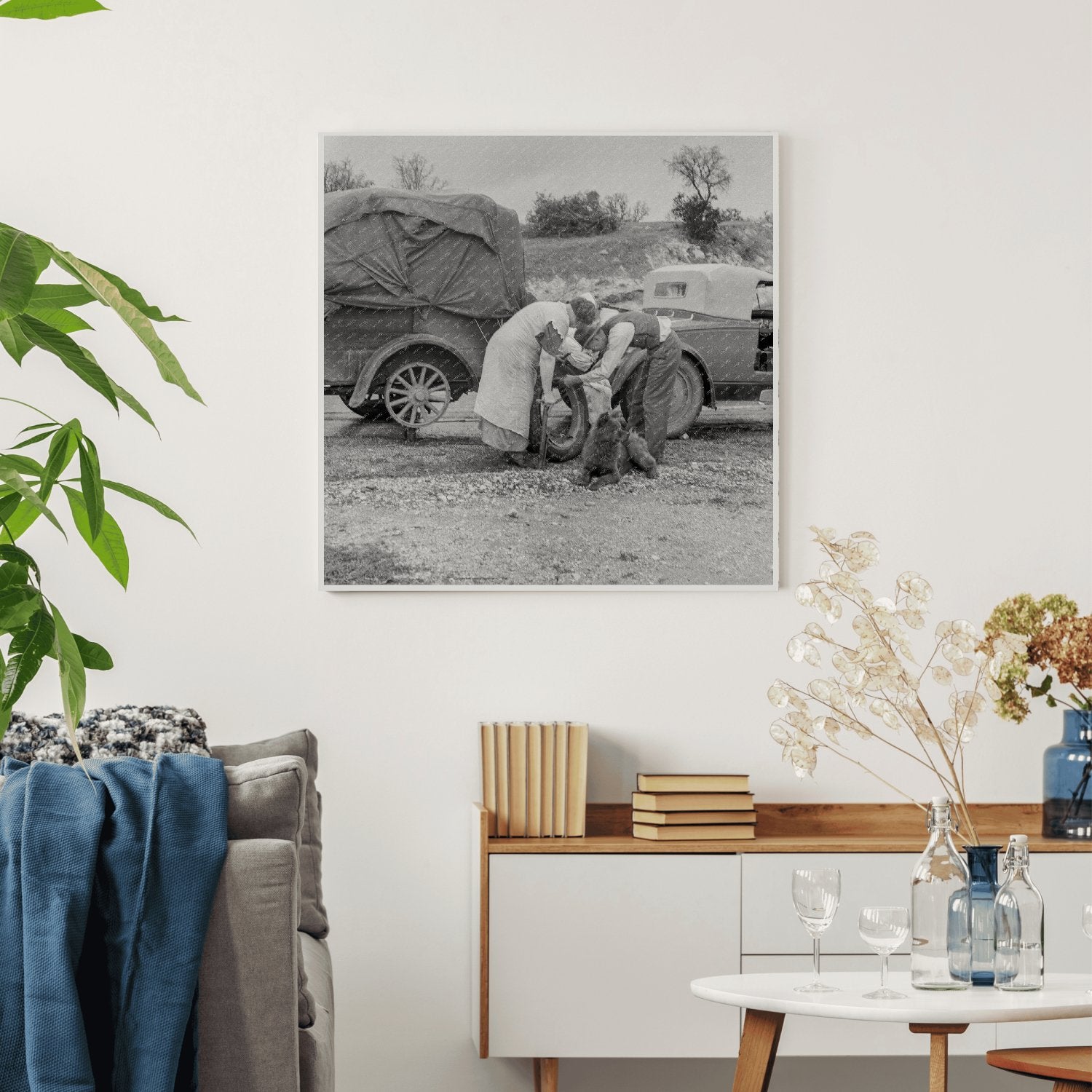 Migrant Pea Pickers on the Road California February 1936 Historical Photograph - Available at KNOWOL