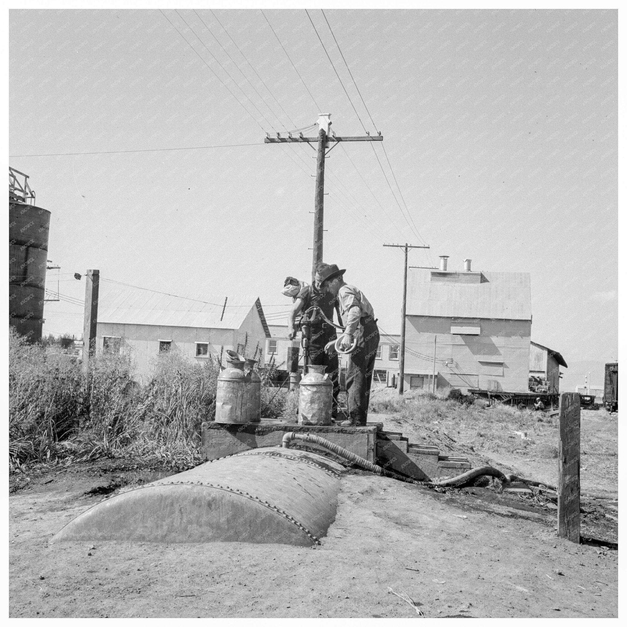 Migrant Potato Pickers Living Conditions California 1939 - Available at KNOWOL