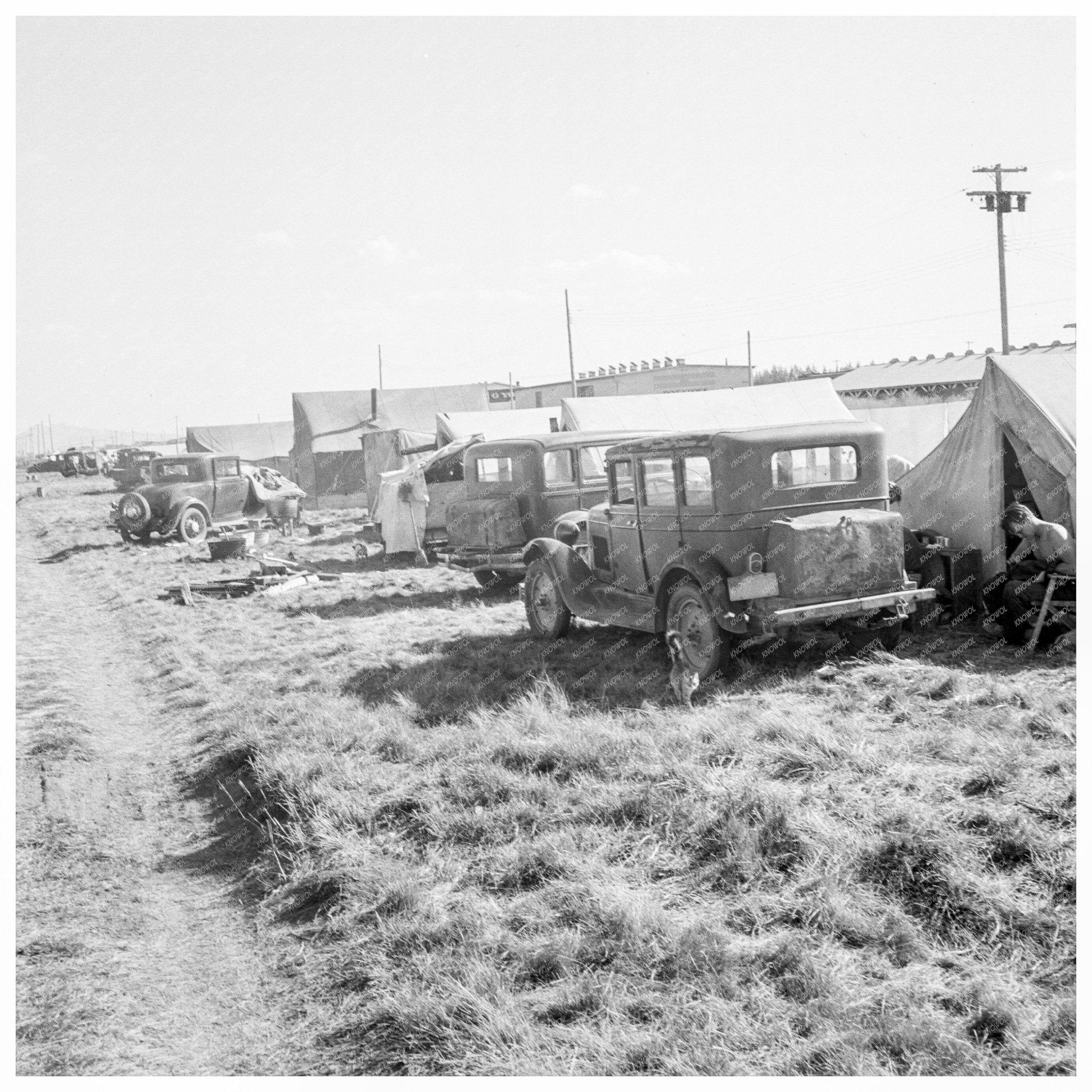 Migrant Potato Pickers Living Conditions Tulelake 1939 - Available at KNOWOL