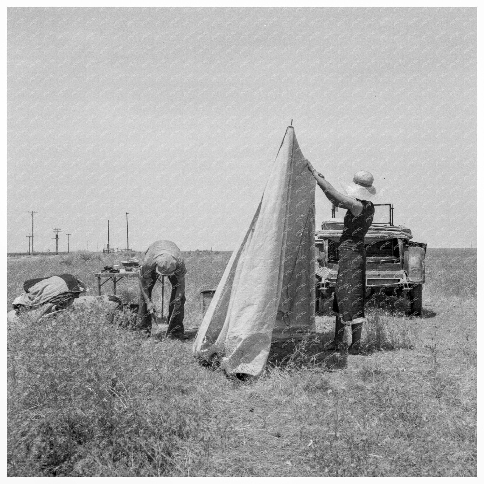 Migrant Potato Pickers Tent California May 1937 - Available at KNOWOL