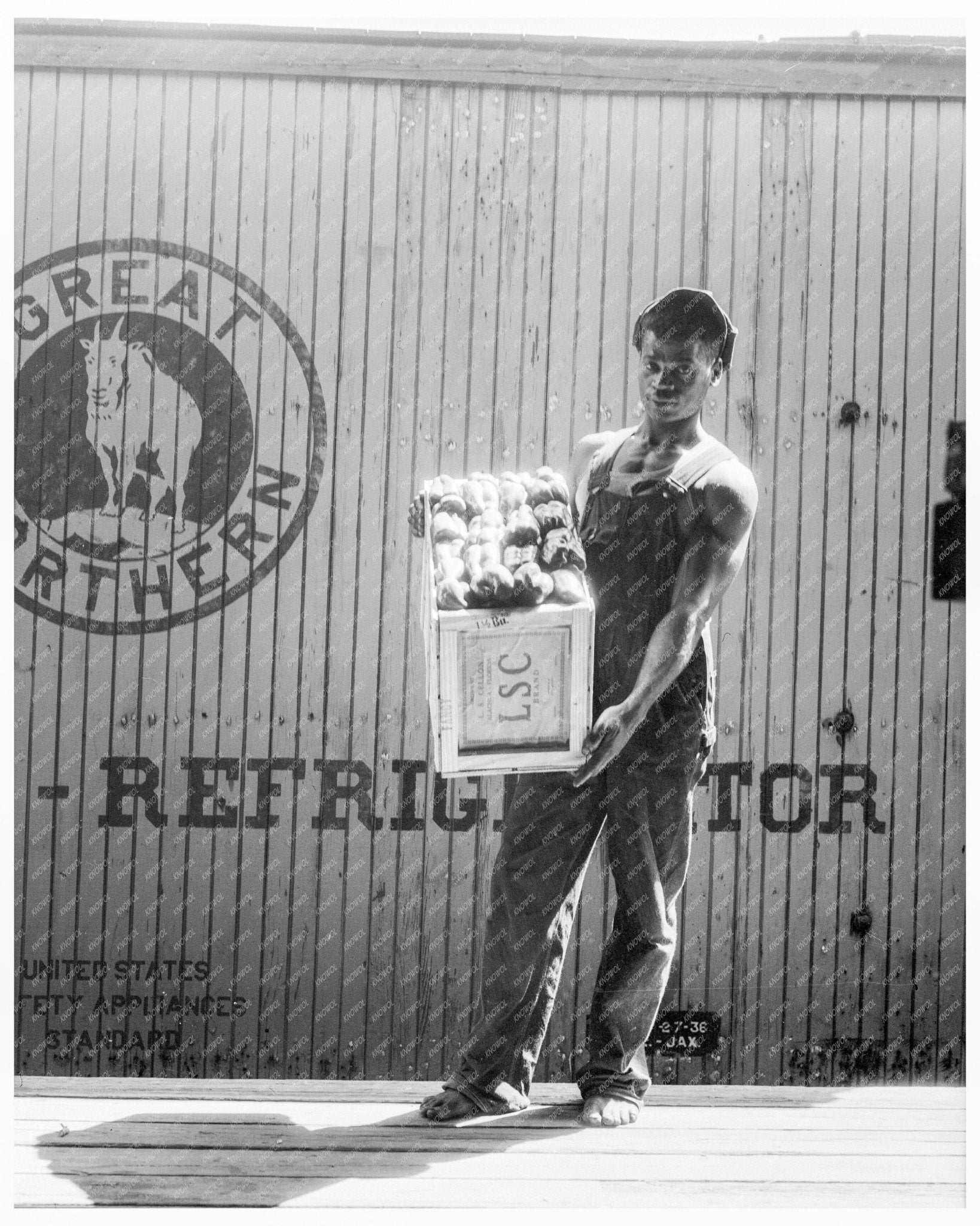 Migrant Shed Worker in Northeast Florida July 1936 FSA Collection - Available at KNOWOL