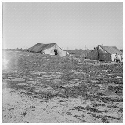 Migrant Tents in Fresno California February 1939 - Available at KNOWOL