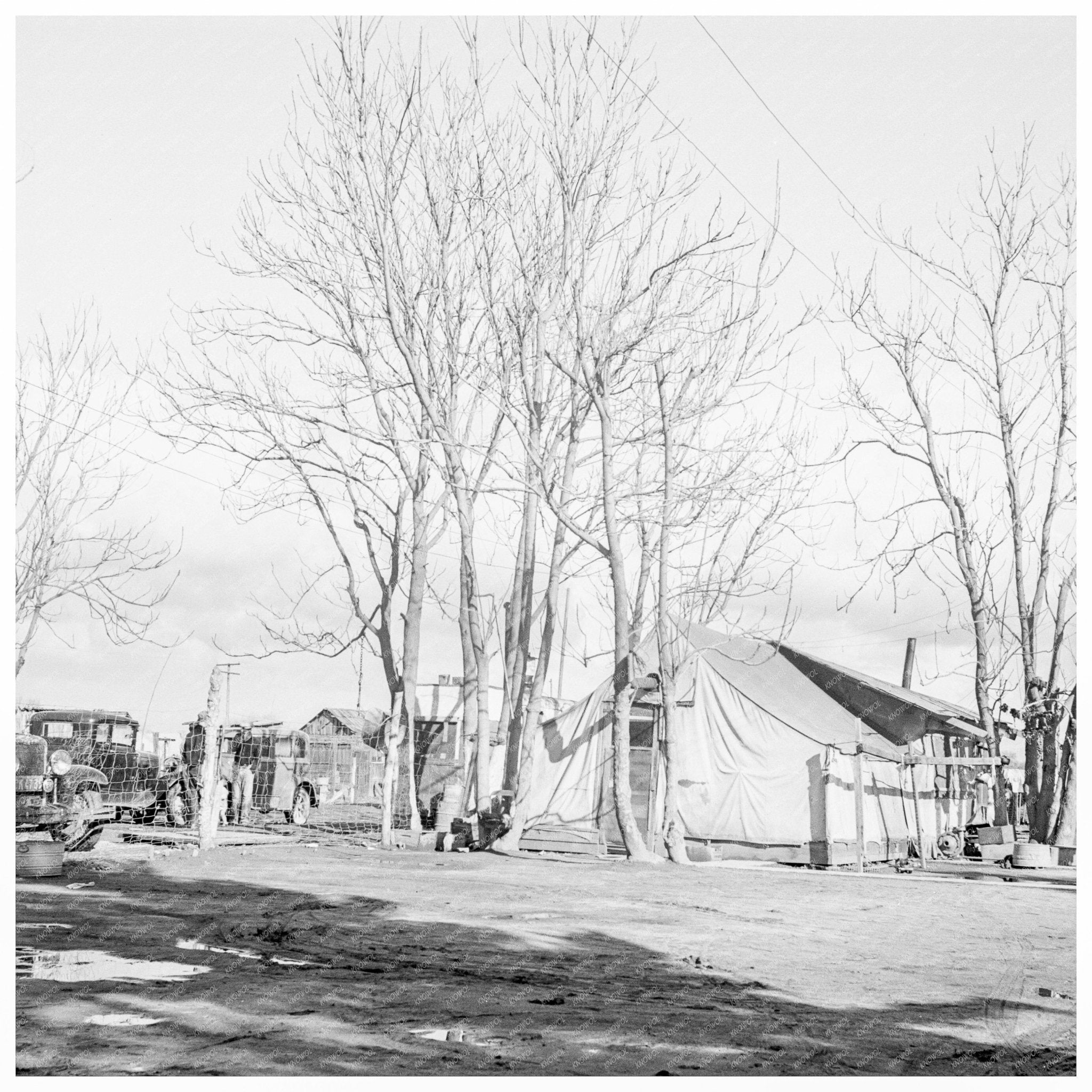 Migrant Winter Quarters Farmersville California 1939 - Available at KNOWOL