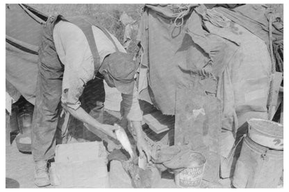 Migrant Worker Cleaning Fish Mercedes Texas February 1939 - Available at KNOWOL