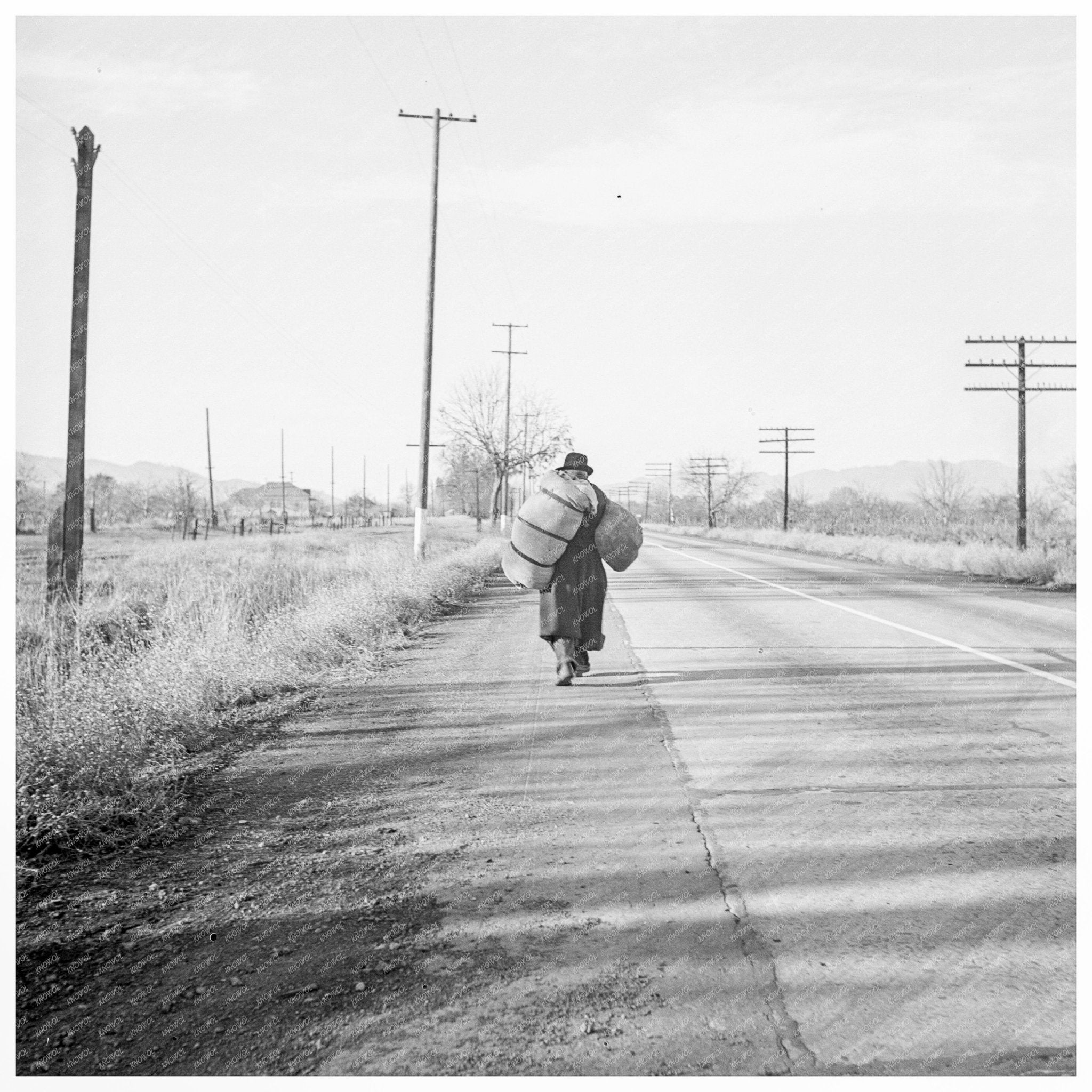 Migrant Worker in Napa Valley December 1938 - Available at KNOWOL