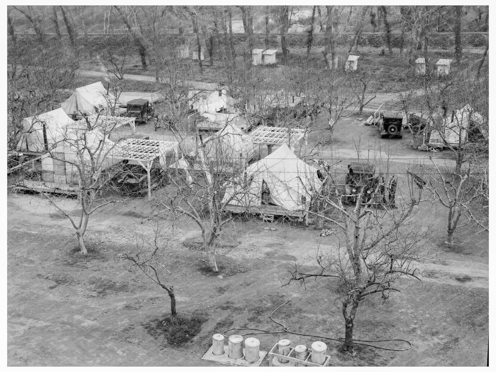 Migrant Workers Camp Gridley California February 1939 - Available at KNOWOL