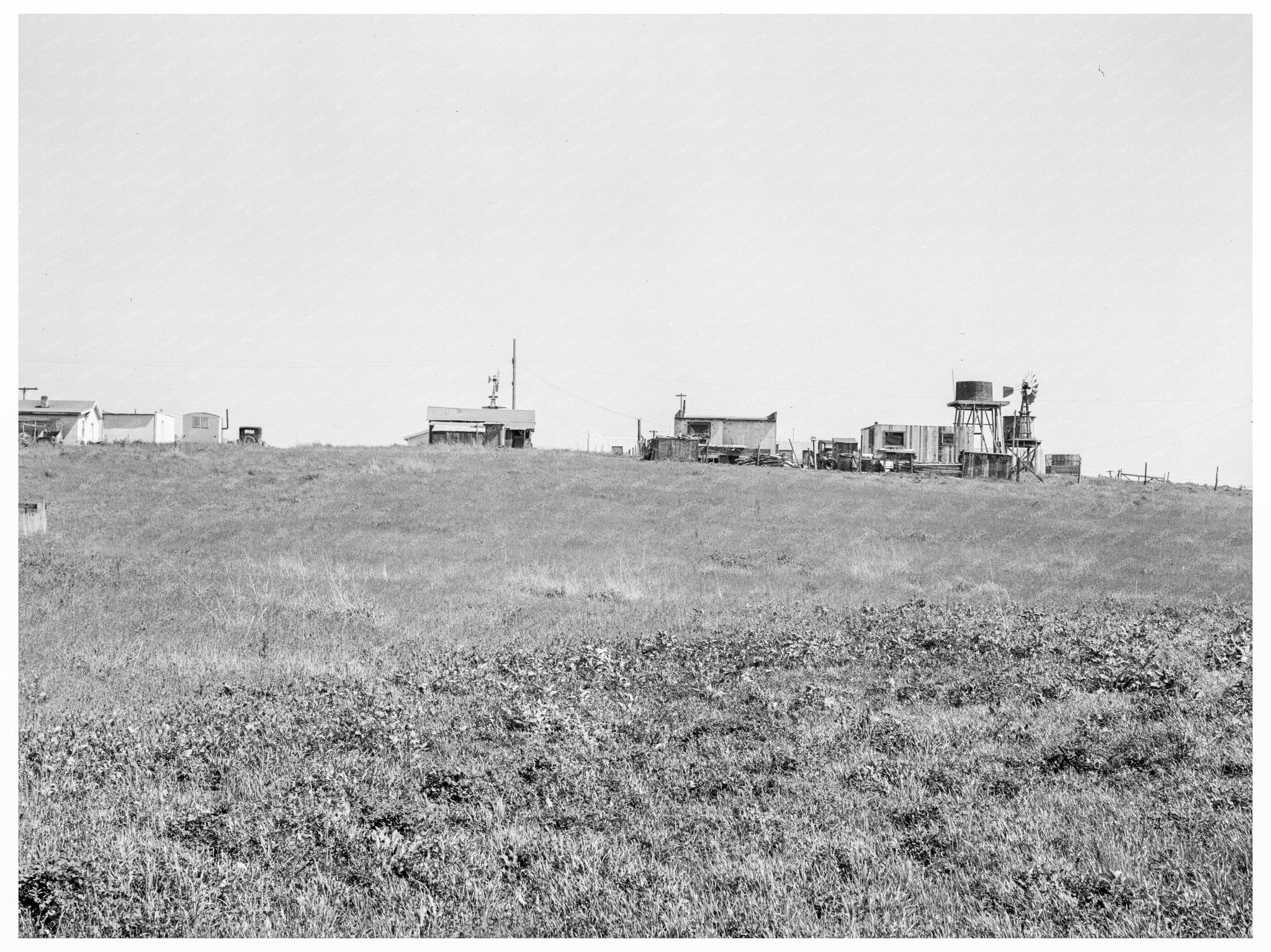 Migrant Workers Cultivating Lettuce in Salinas 1939 - Available at KNOWOL