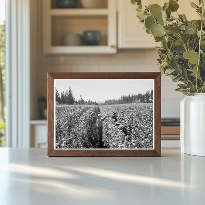 Migrant Workers Harvesting Beans Marion County Oregon 1939 - Available at KNOWOL