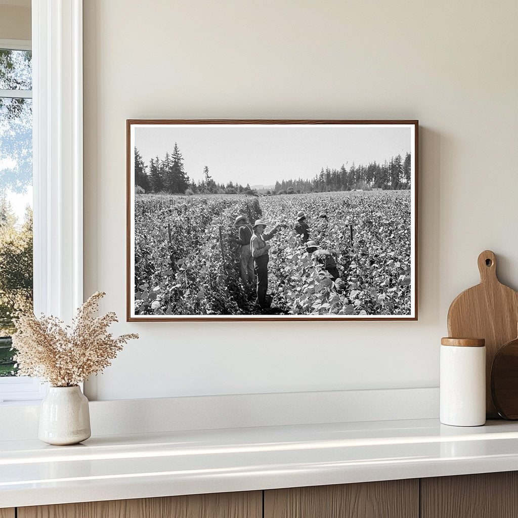 Migrant Workers Harvesting Beans Marion County Oregon 1939 - Available at KNOWOL