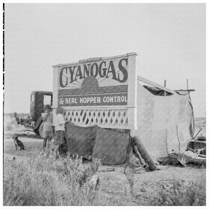 Migrant Workers Home California February 1937 - Available at KNOWOL