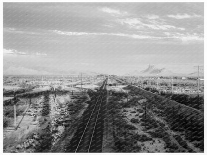 Migrant Workers in Southern Arizona June 1938 - Available at KNOWOL