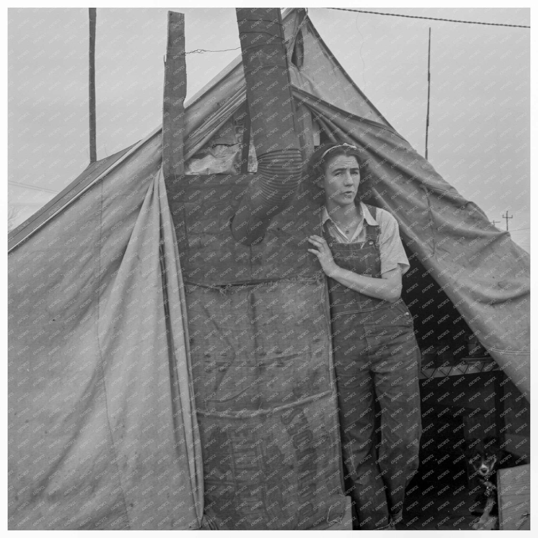 Migrant Workers Lemon Farming Tulare County 1939 - Available at KNOWOL