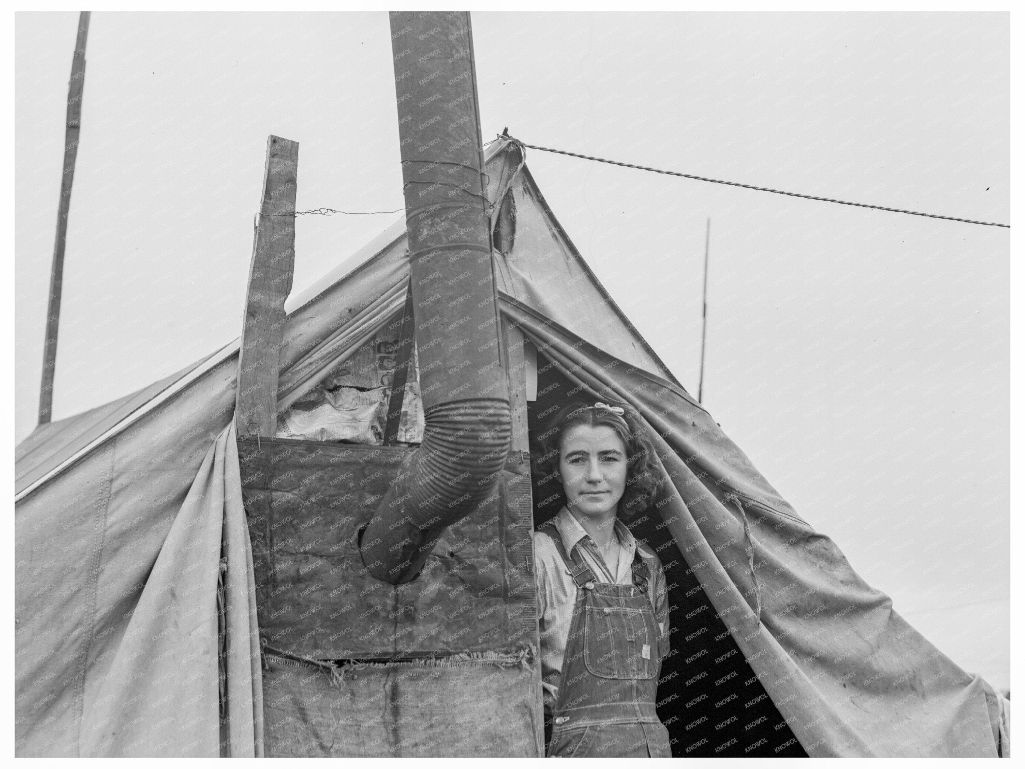 Migrant Workers Lemon Harvesting Strathmore 1939 - Available at KNOWOL