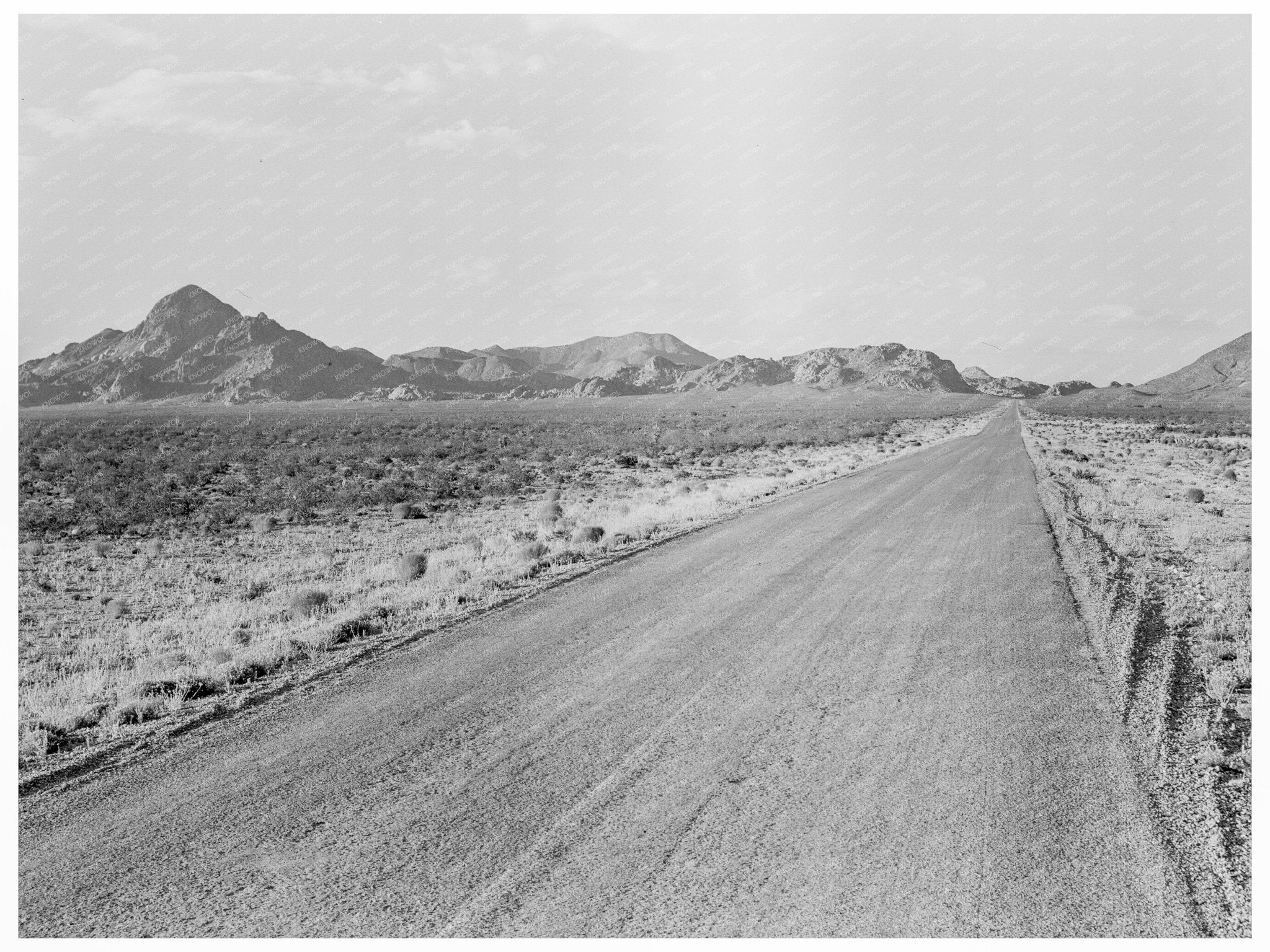 Migrants on U.S. Route 80 Southwest New Mexico 1938 - Available at KNOWOL