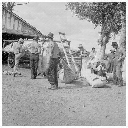 Migratory Cotton Pickers in Kern County 1938 - Available at KNOWOL