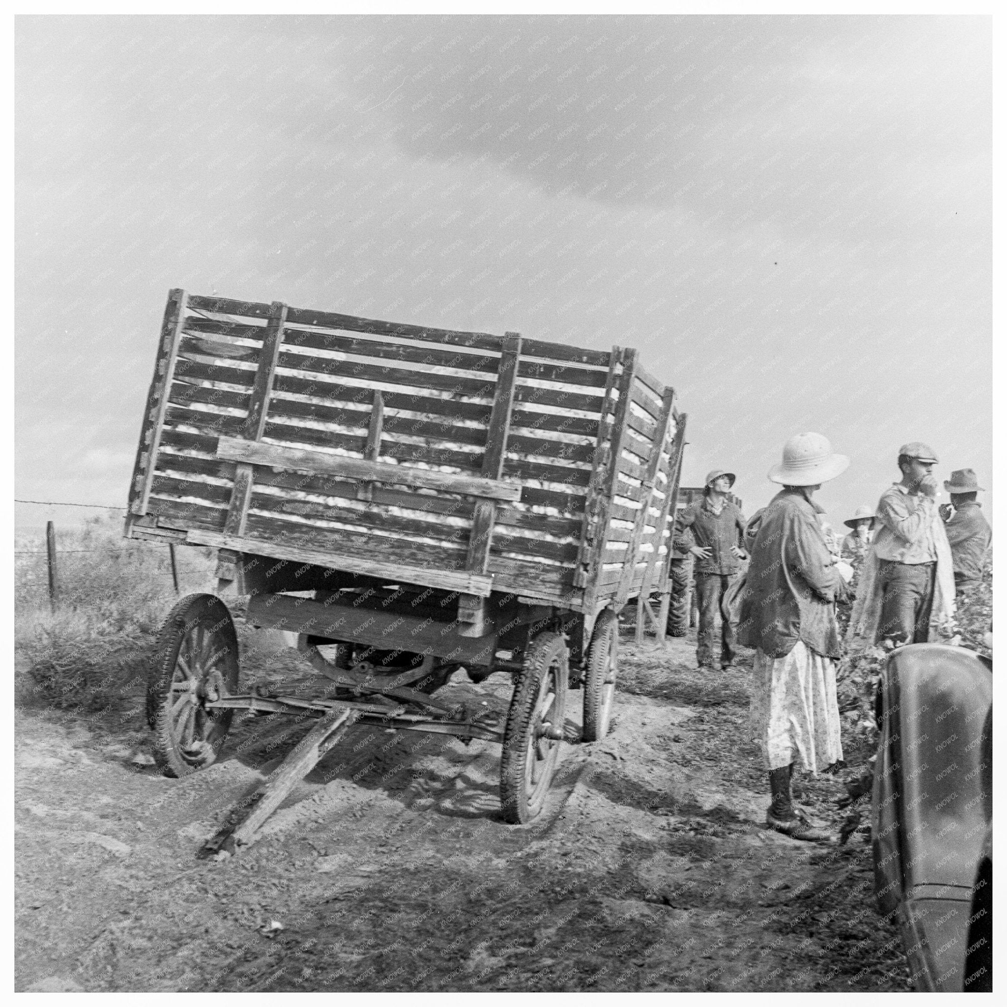 Migratory Cotton Pickers in Kern County California 1938 - Available at KNOWOL