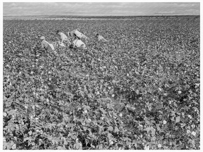 Migratory Cotton Pickers in San Joaquin Valley 1938 - Available at KNOWOL