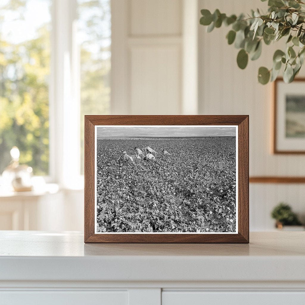 Migratory Cotton Pickers in San Joaquin Valley 1938 - Available at KNOWOL