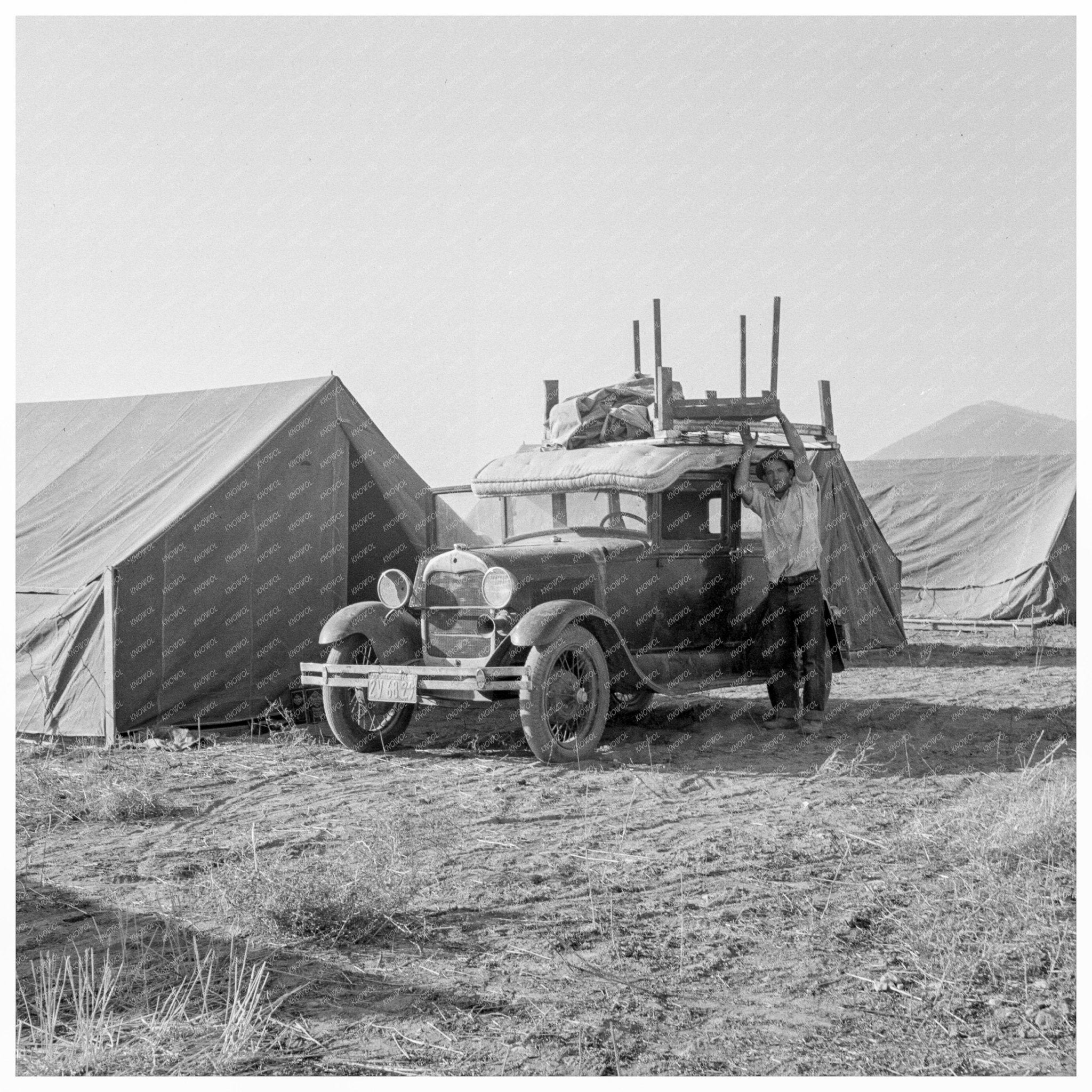 Migratory Family in Tent for Potato Harvest Oregon 1939 - Available at KNOWOL