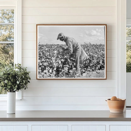 Migratory Field Workers Cotton Picking California 1938 - Available at KNOWOL