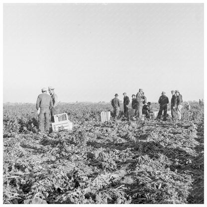 Migratory Field Workers in California February 1939 - Available at KNOWOL