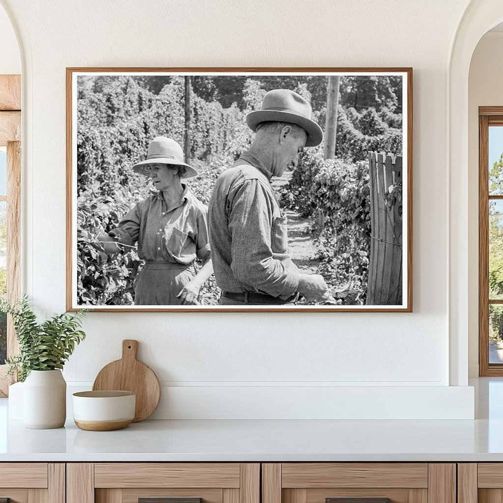 Migratory Field Workers in Hop Field Oregon August 1939 - Available at KNOWOL