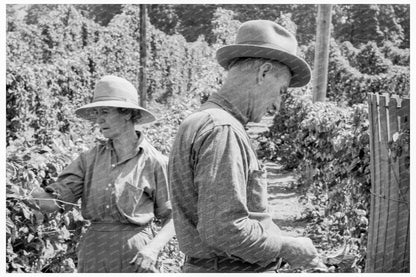 Migratory Field Workers in Hop Field Oregon August 1939 - Available at KNOWOL