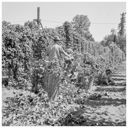 Migratory Field Workers in Oregon Hop Field 1939 - Available at KNOWOL