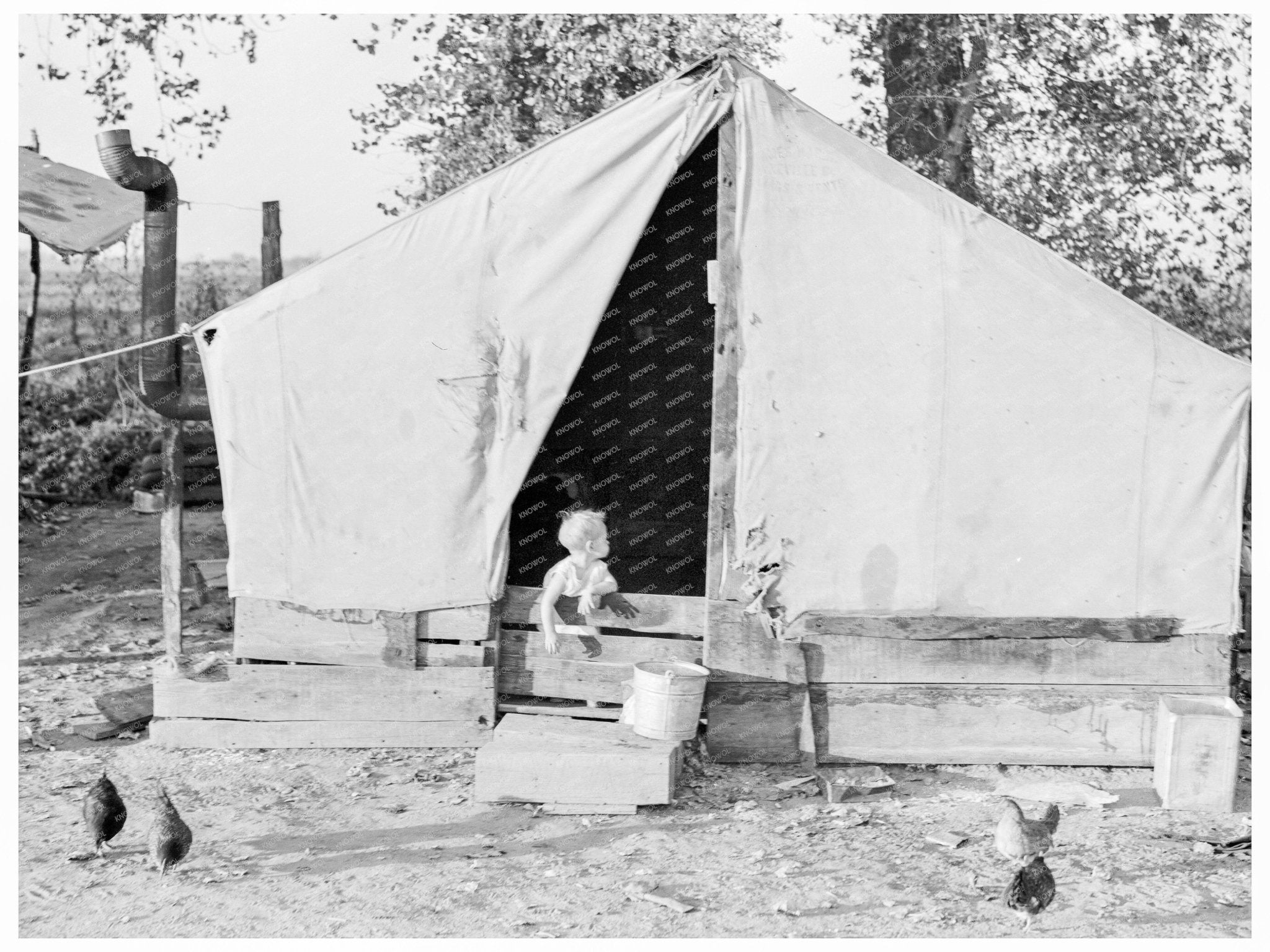 Migratory Orange Pickers Camp Exeter California 1936 - Available at KNOWOL