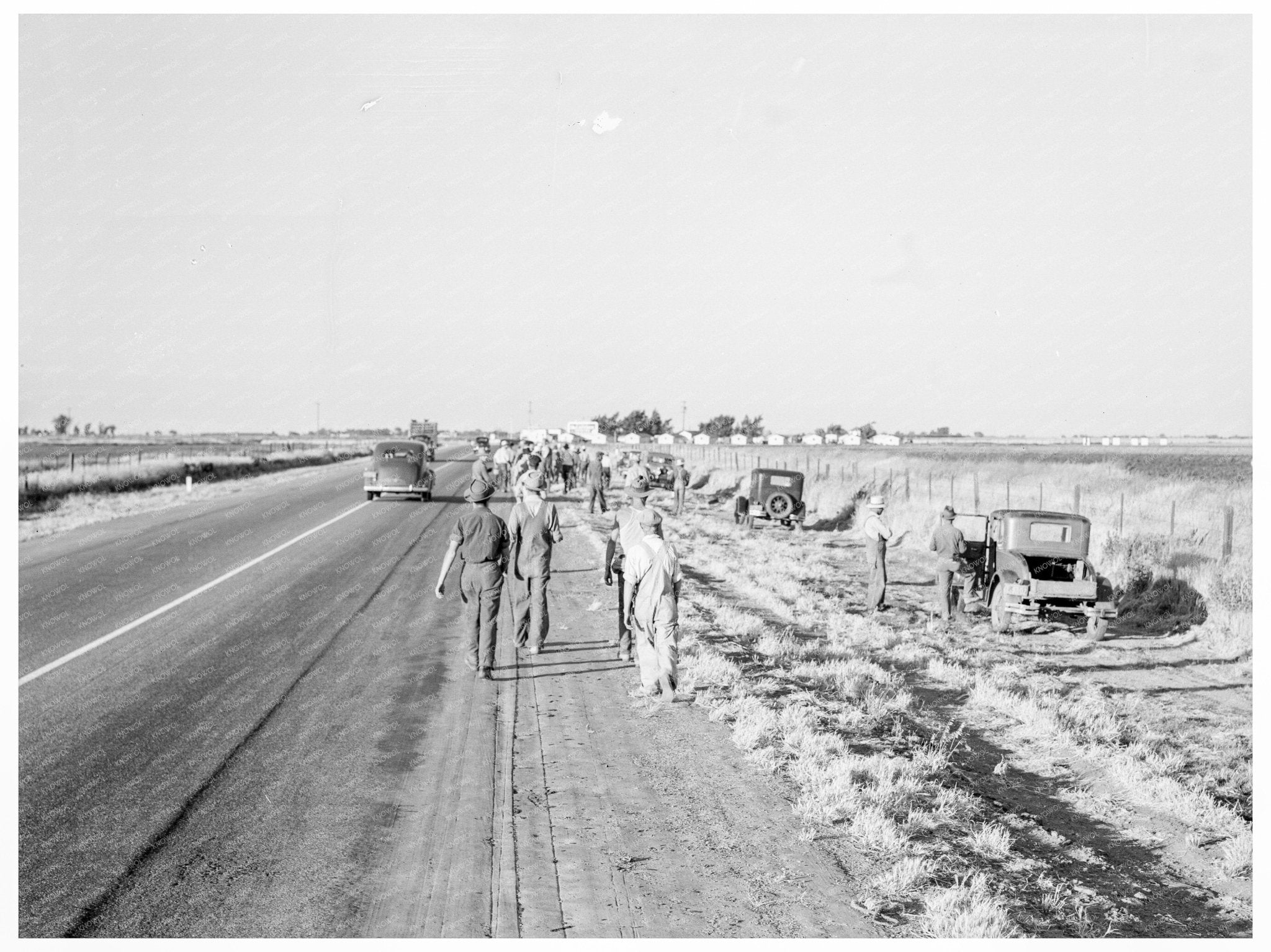 Migratory Workers Cotton Hoeing Los Banos 1939 - Available at KNOWOL