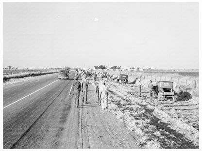 Migratory Workers Cotton Hoeing Los Banos 1939 - Available at KNOWOL