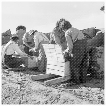 Migratory Workers Packing Peas California 1939 - Available at KNOWOL